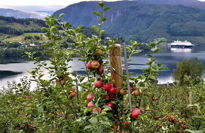 Ulvik - Copyright Karsten-Thilo Raab