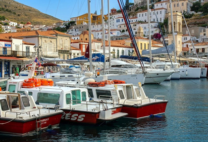 Hydra, Copyright Karsten-Thilo Raab