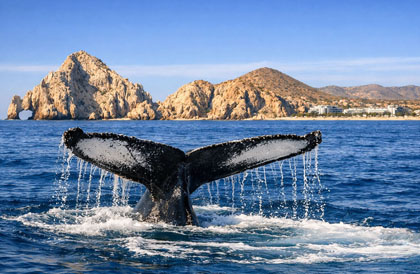 Los Cabos - Copyright Karsten-Thilo Raab