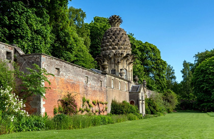 Dunmore Pineapple